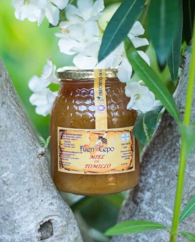 Miel de Tomillo 1Kg